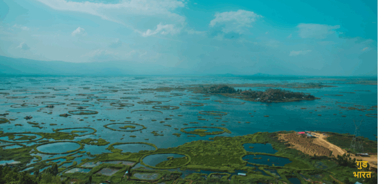 Phumdis of Manipur: The Mysterious Floating Ecosystems of Loktak Lake – LW