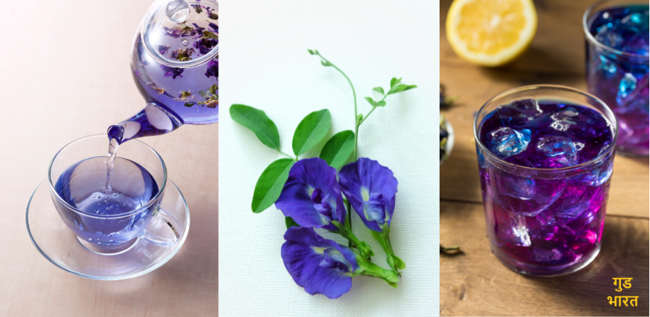 Butterfly Pea Flower