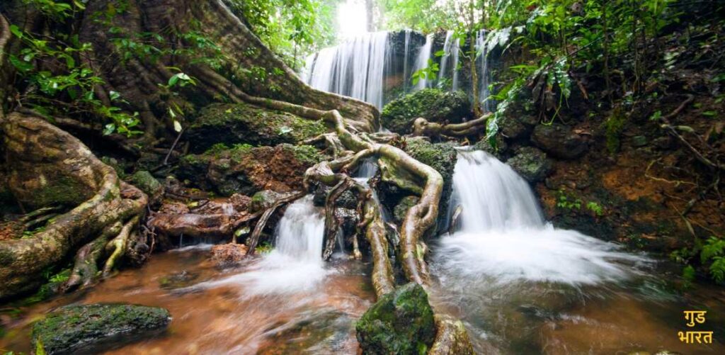 Agumbe- The Cherrapunji of South India and Its Timeless Wonders 